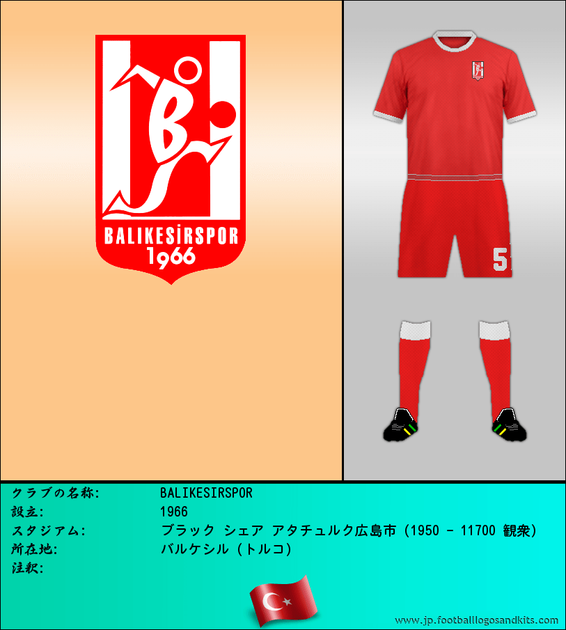 のロゴBALIKESIRSPOR