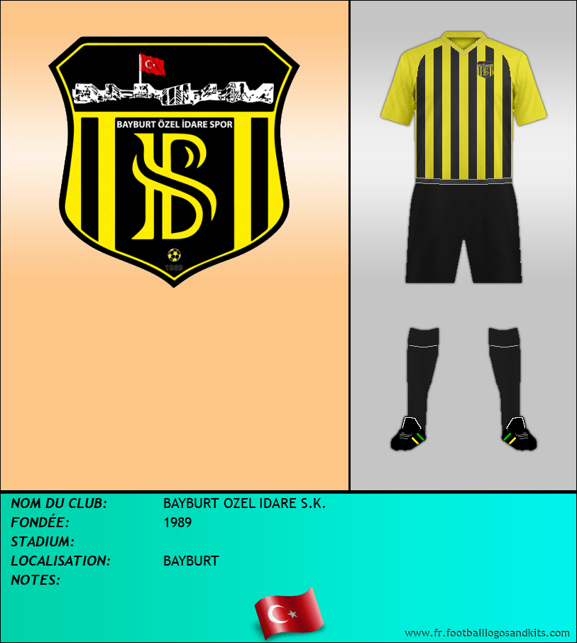 Logo de BAYBURT OZEL IDARE S.K.