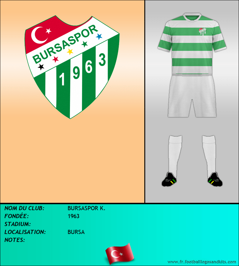 Logo de BURSASPOR K.
