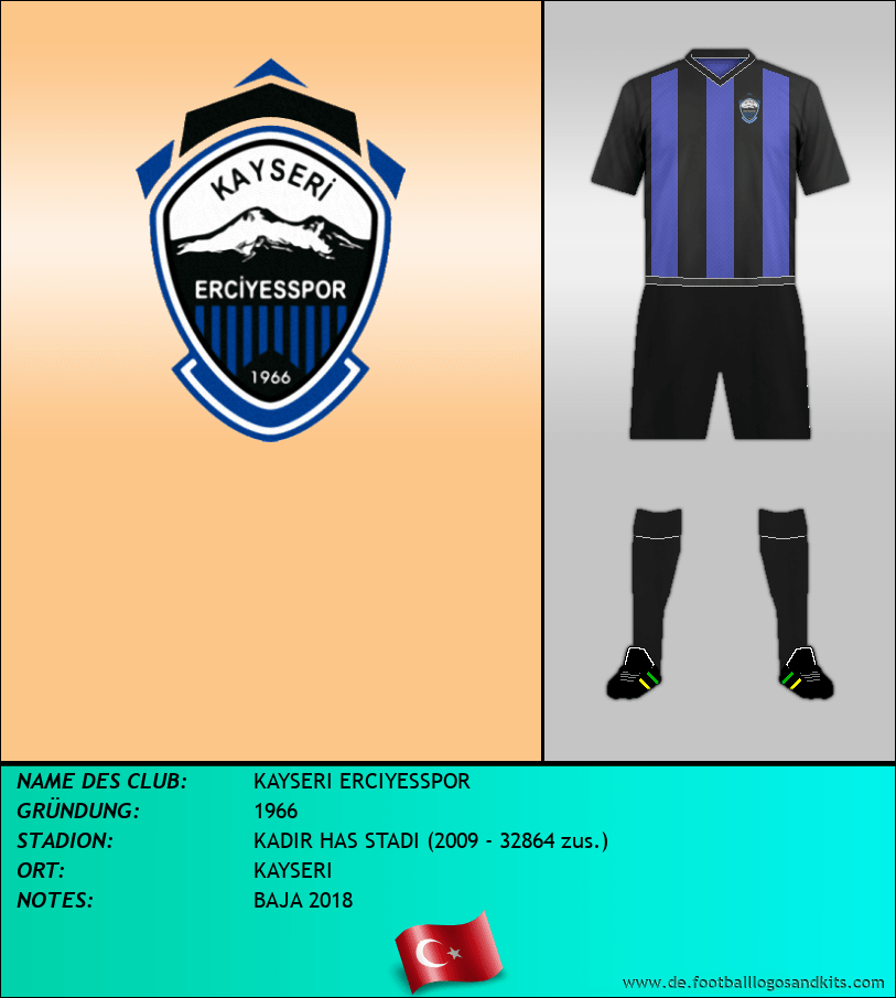 Logo KAYSERI ERCIYESSPOR