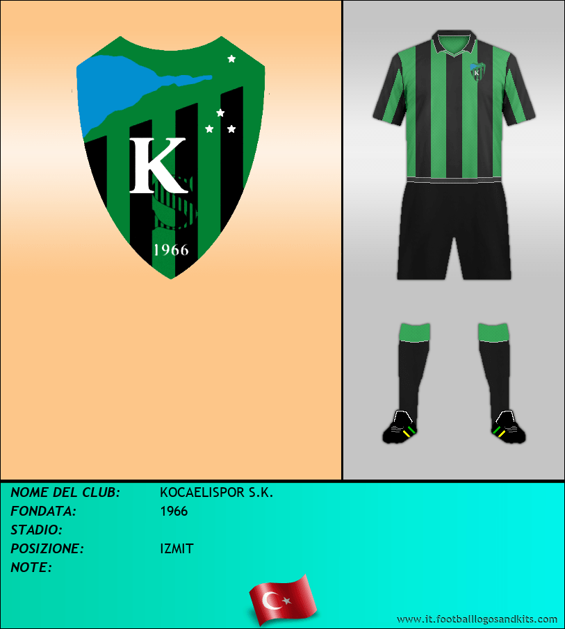 Logo di KOCAELISPOR S.K.