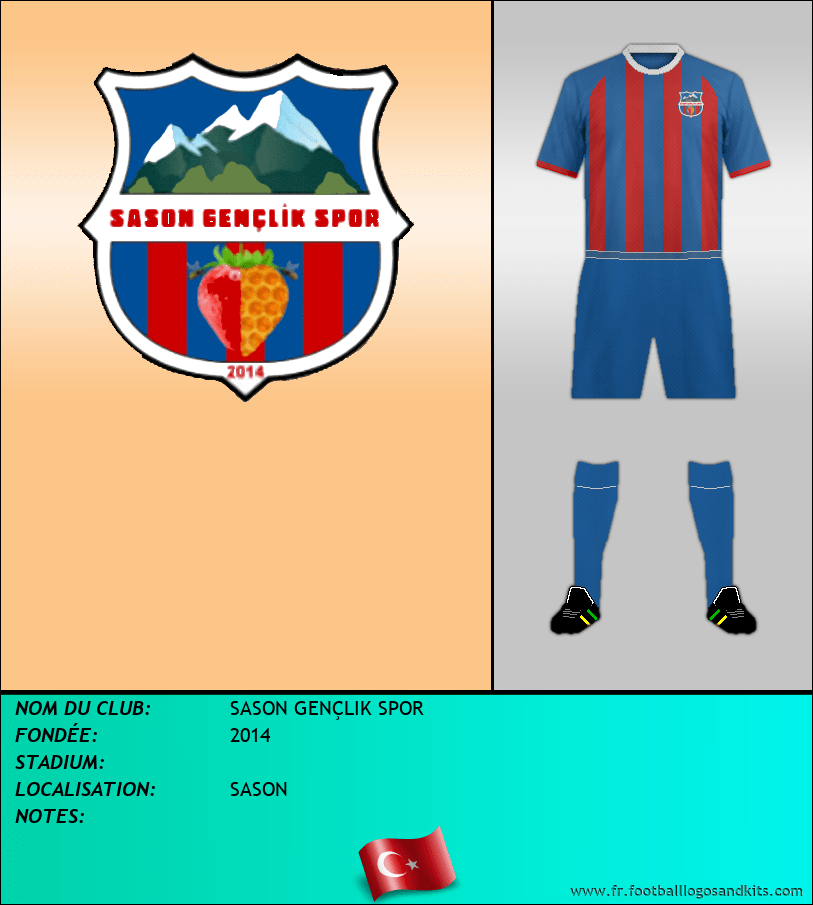 Logo de SASON GENÇLIK SPOR