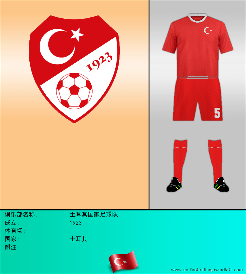 标志土耳其国家足球队